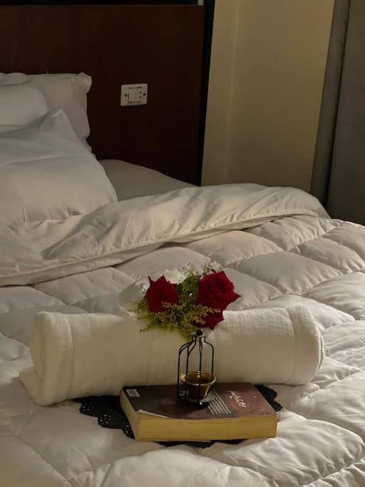 Lovely In Zamalek Apartment *